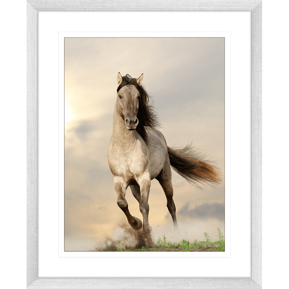 Austin Horses #08
