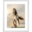 Austin Horses #08