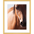 Austin Horses #13