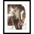 Austin Horses #15