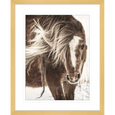 Austin Horses #15