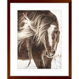 Austin Horses #15