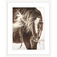 Austin Horses #15