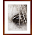 Austin Horses #16