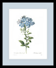 Botanical #01 Print with Blue Mat