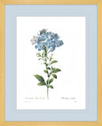 Botanical #01 Print with Blue Mat