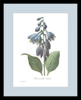 Botanical #02 Print with Blue Mat
