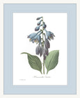 Botanical #02 Print with Blue Mat