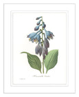 Botanical #02 Print