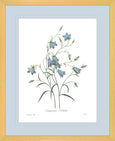 Botanical #03 Print with Blue Mat