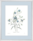 Botanical #03 Print with Blue Mat