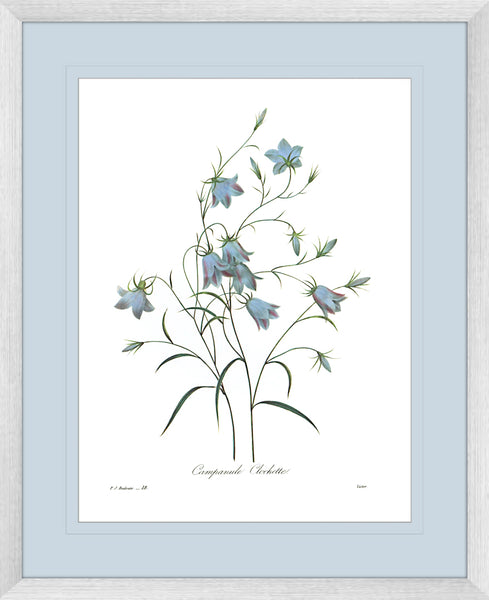 Botanical #03 Print with Blue Mat
