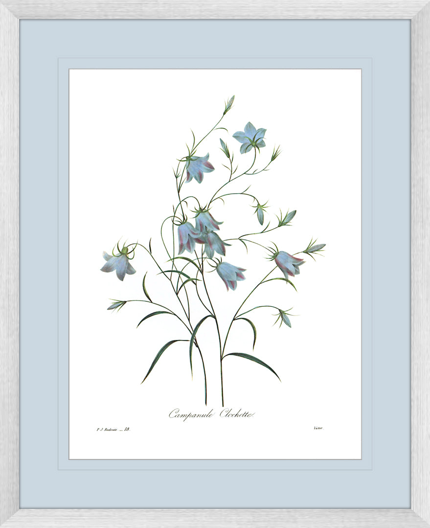 Botanical #03 Print with Blue Mat