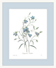 Botanical #03 Print with Blue Mat