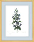 Botanical #04 Print with Blue Mat
