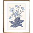 Bluebell #02 Print