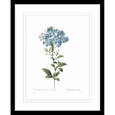 Botanical #01 Print
