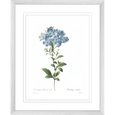 Botanical #01 Print