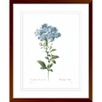 Botanical #01 Print