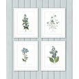 Botanical #01 Print