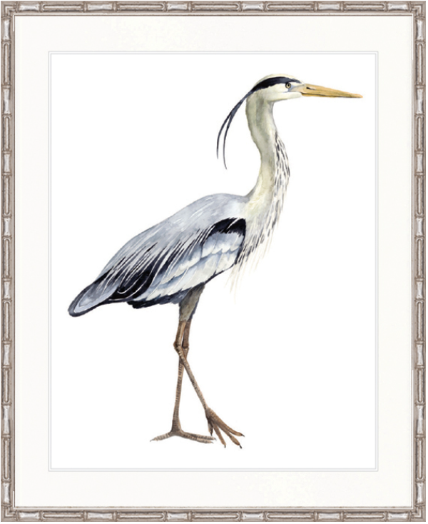 Watercolour Sea Bird I