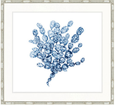 Delicate Seaweed XIV