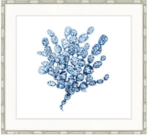 Delicate Seaweed XIV