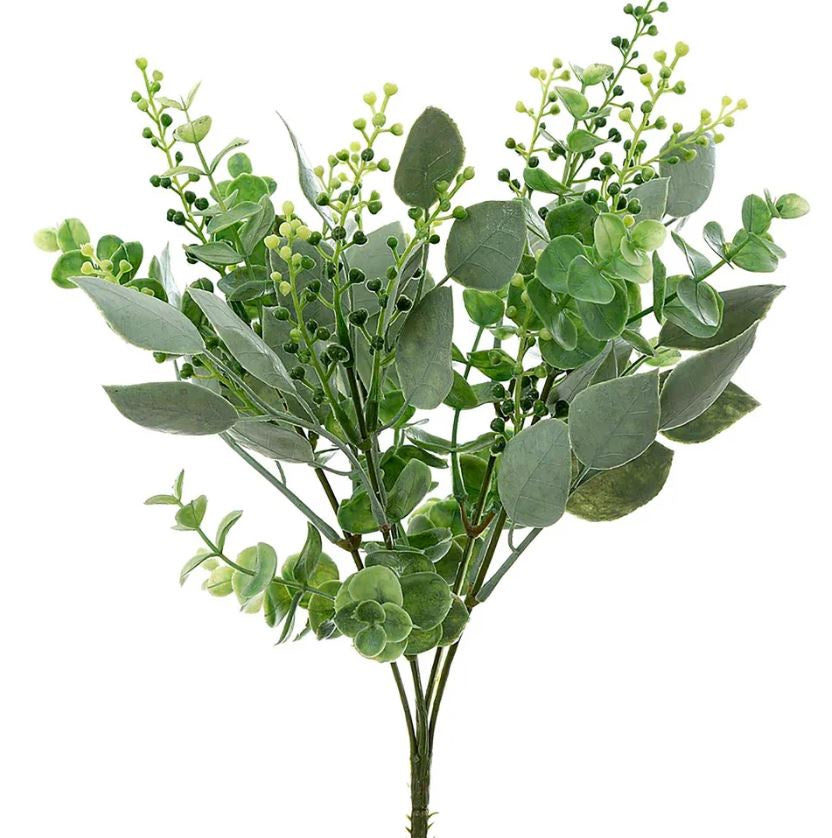 Eucalyptus Berry Bush