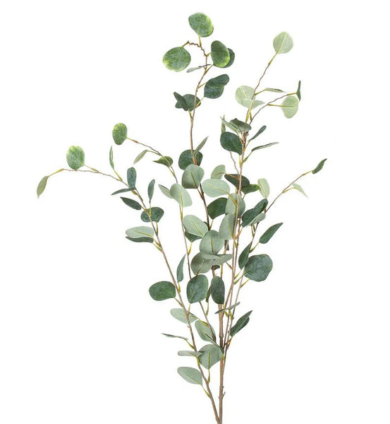 Eucalyptus Spray Extra Long