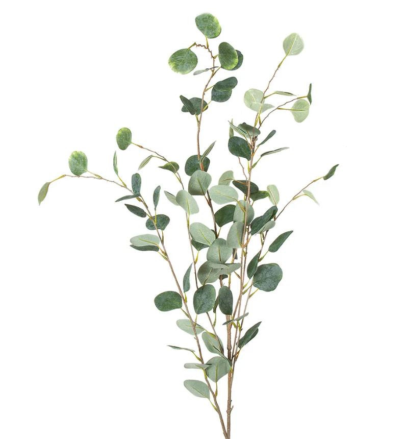 Eucalyptus Spray Extra Long