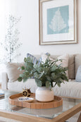 Fern Motif V