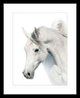 Austin Horses #12
