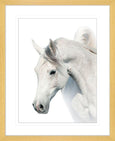 Austin Horses #12
