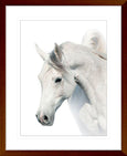 Austin Horses #12