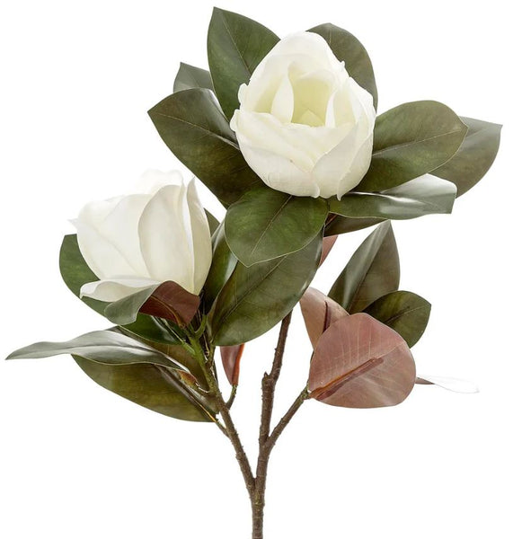 Magnolia Large 2 Heads