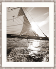 Nautical IV Sepia