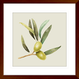 Olive Grove 01