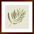 Olive Grove 02