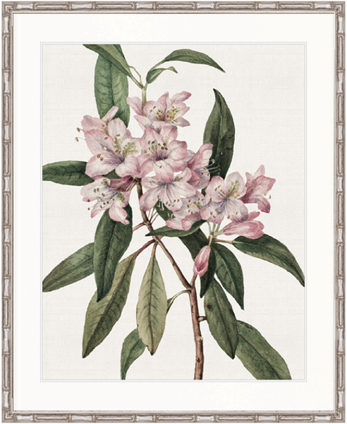 Phillipson Floral II