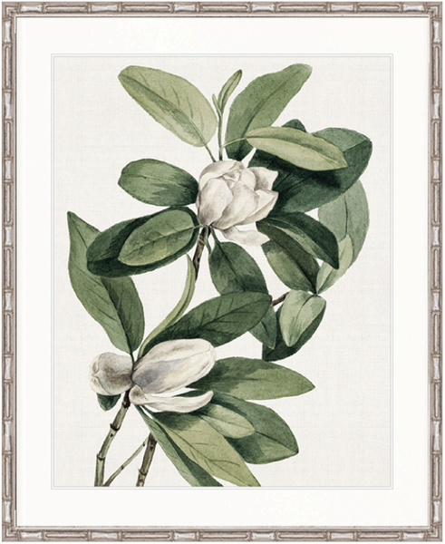 Phillipson Floral IV