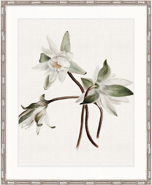 Phillipson Floral VIII