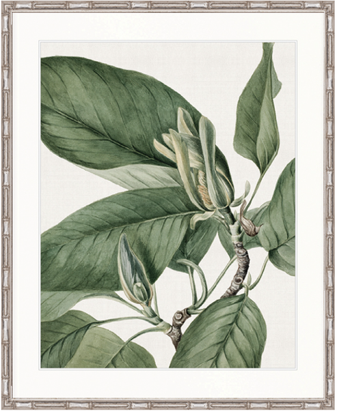 Phillipson Floral VII