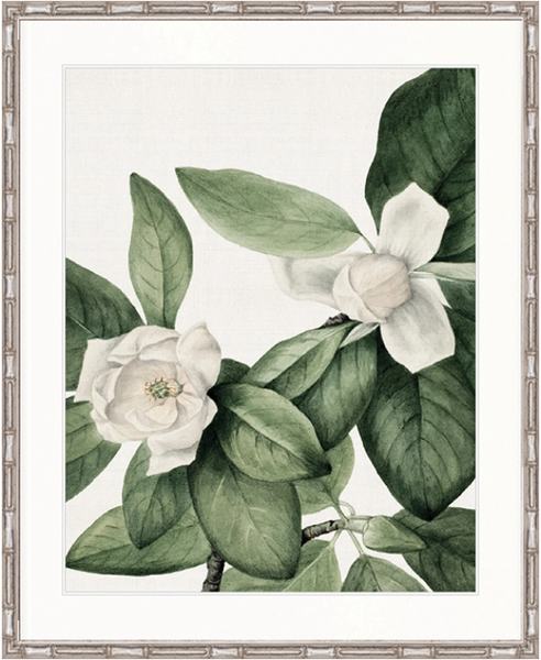 Phillipson Floral VI