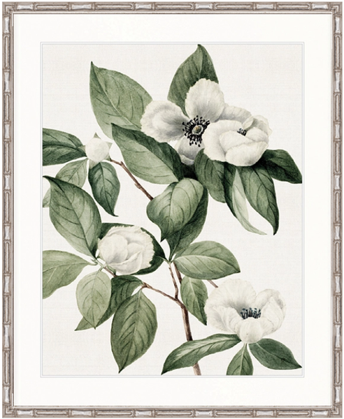 Phillipson Floral XI