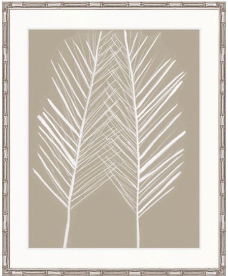 Sabi Palm V