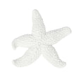 Sang Starfish Large White