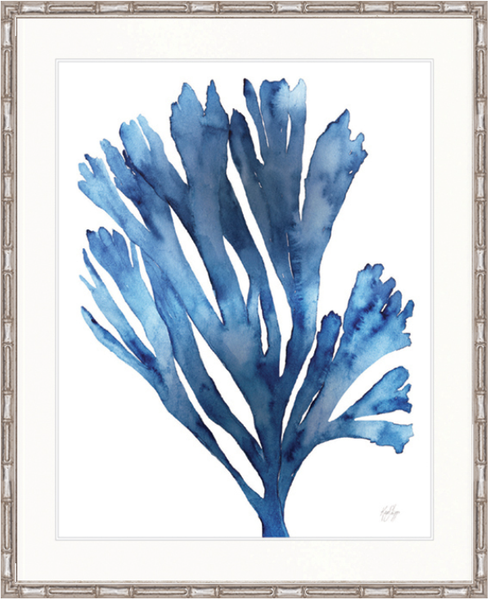 Seaweed Illusion I