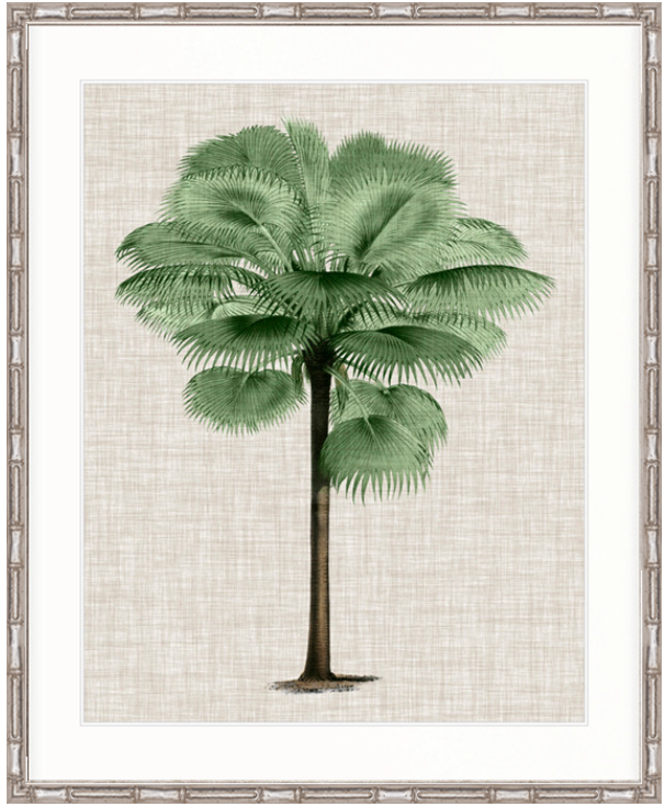 St Aman Palm IV