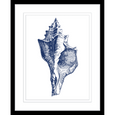 Navy Shell Print 1