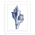 Navy Shell Print 1